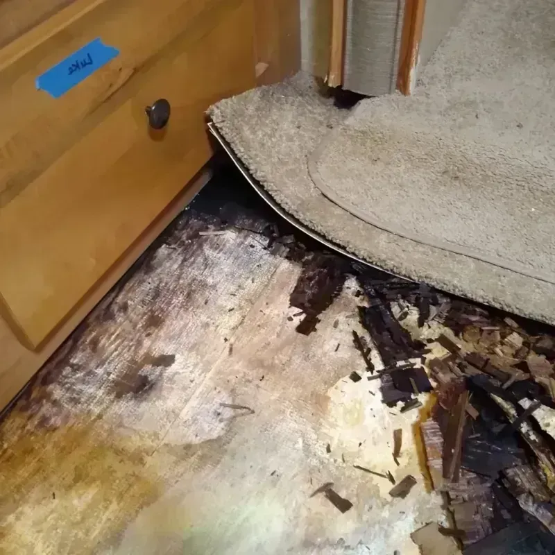 Wood Floor Water Damage in Auburn Gresham, IL